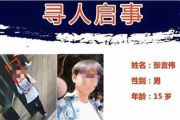 中国清爽推理片高清2023,高清视听盛宴